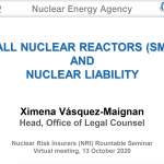SMRs and Nuclear Liability